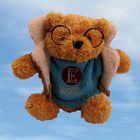Petter Bear